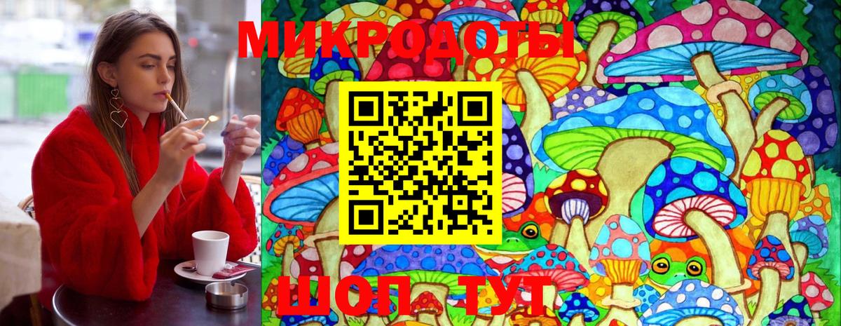 Псилоцибиновые грибы Cubensis Иваново