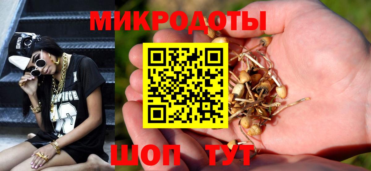 Псилоцибиновые грибы GOLDEN TEACHER  Вход с VPN  Галлюциногенные грибы GOLDEN TEACHER  Иваново 